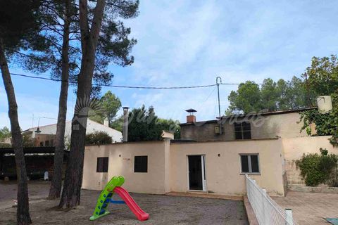 Landejendom i Almansa, Albacete, Almansa - € 235.000 | Ref: SF0548 - foto 21